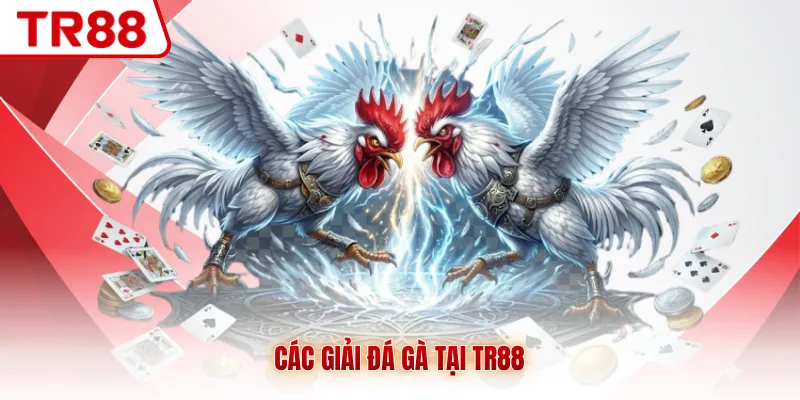 Các giải đá gà tại TR88