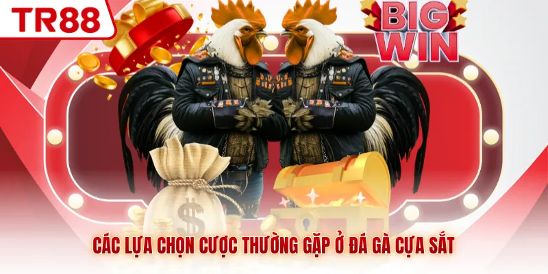 Các lựa chọn cược thường gặp ở đá gà cựa sắt