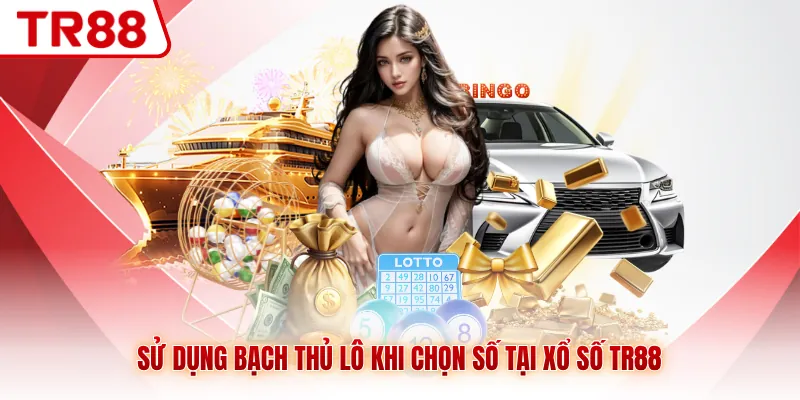 Sử dụng bạch thủ lô khi chọn số tại xổ số TR88