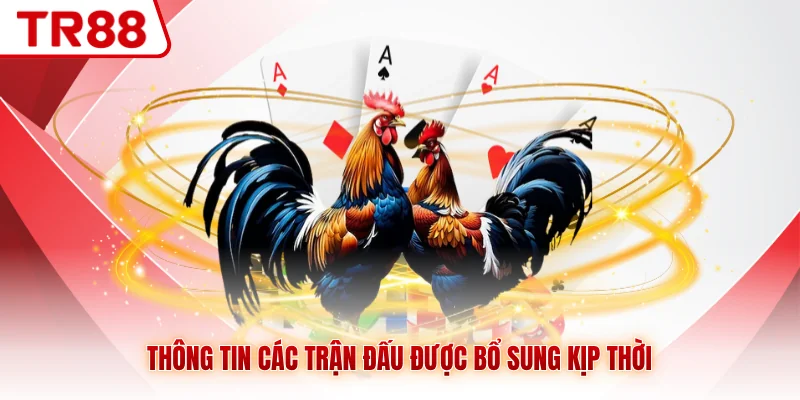 Thông tin cần biết về các trận đá gà cựa sắt
