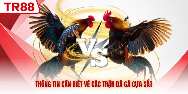 Thông tin các trận đấu được bổ sung kịp thời