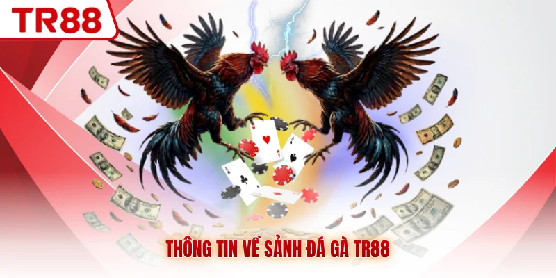 Thông tin về sảnh đá gà TR88