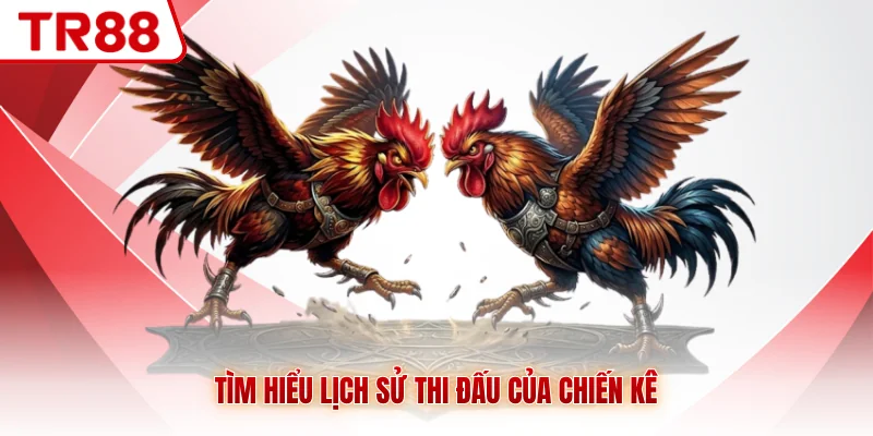 Tìm hiểu lịch sử thi đấu của chiến kê